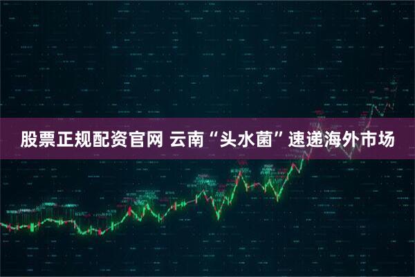 股票正规配资官网 云南“头水菌”速递海外市场